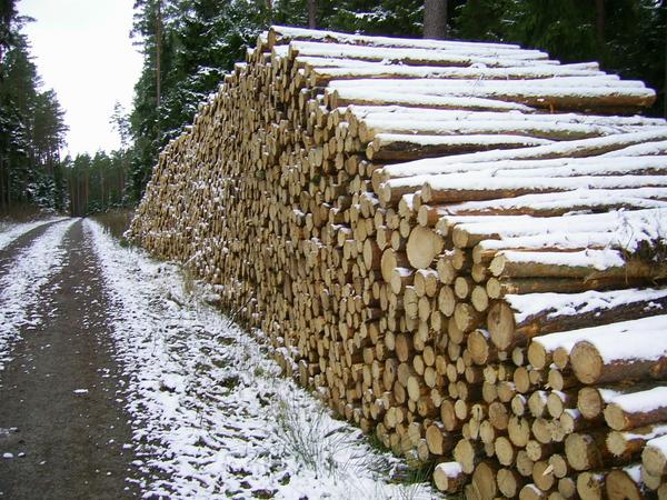 Holz-Zuwachs
JÄHRLICHER ZUWACHS IN ÖSTERREICH 31,4 Mio fm